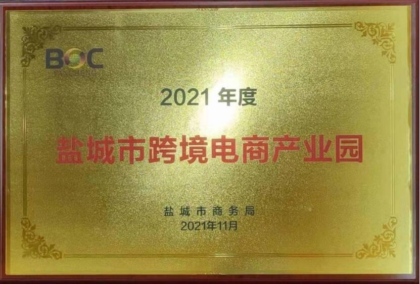 半年进出口额达3.3亿 大龙网盐城龙工场获评市级跨境电商产业园”